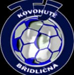 Bridlicna