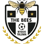 The Bees FC
