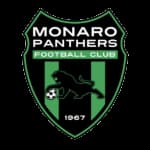 Monaro Panthers