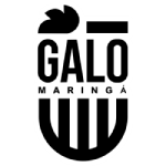 Galo Maringá PR