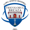 CS Tricolorul Breaza