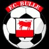 FC Bulle
