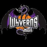 Yamagata Wyverns