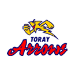 Toray Arrows