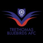 Trethomas Bluebirds