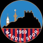 Mardinspor