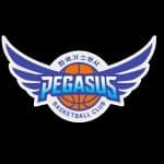 Daegu Pegasus