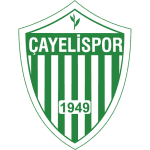 Cayelispor