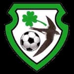 Saint James Swifts (F)