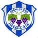 Tochigi City FC
