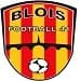 Blois Foot 41