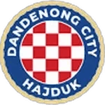 Dandenong City SC U23