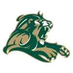 Point Loma Sea Lions