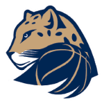 BK Levhartice Chomutov II (W)