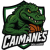 Caimanes Del Llano