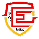 Efor Spor (F)